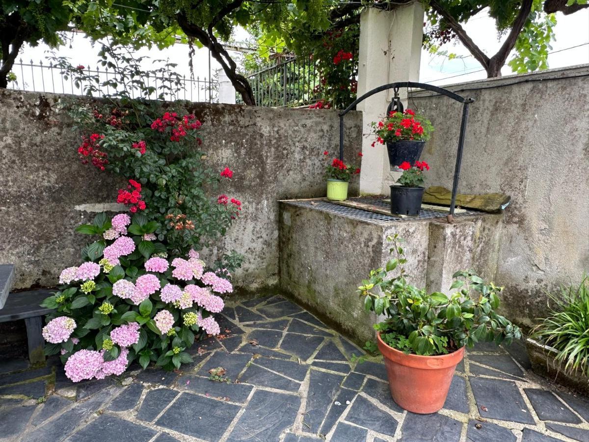 O Toxal Villa Monforte De Lemos Exterior photo