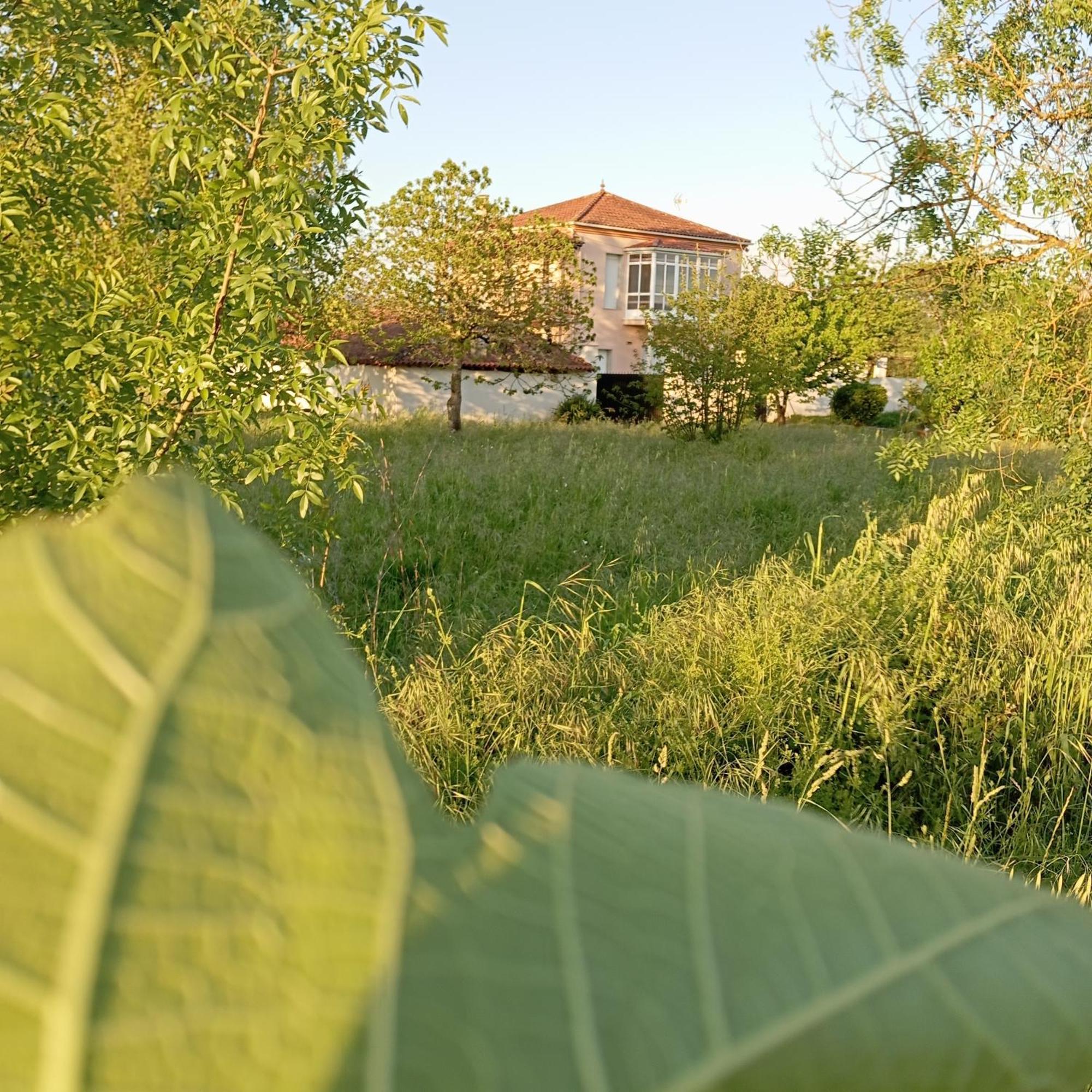 O Toxal Villa Monforte De Lemos Exterior photo
